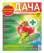 Дача Pressa.ru 15-2020