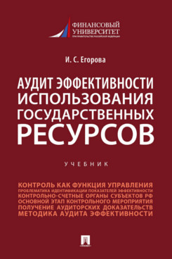 Аудит эффективности использования государственных ресурсов. Учебник