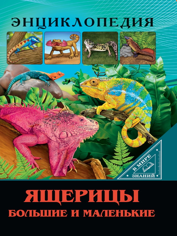 ЭНЦИКЛОПЕДИЯ. В МИРЕ ЗНАНИЙ. ЯЩЕРИЦЫ БОЛЬШИЕ И МАЛЕНЬКИЕ