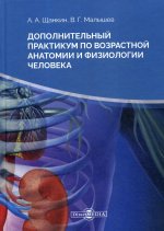 Дополнительный практикум по возрастной анатомии и физиологии человека. 2-е изд., стер