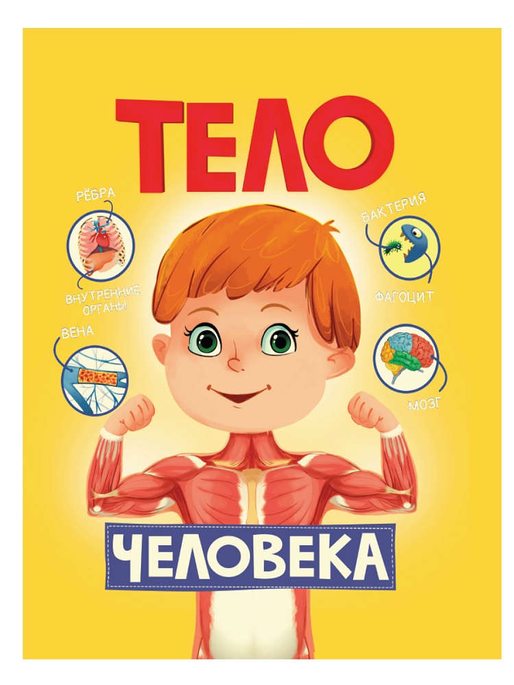 ТЕЛО ЧЕЛОВЕКА матов.ламин, выбор.лак, 200х240