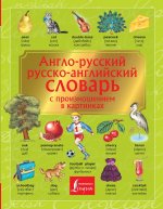 Англо-русский русско-английский словарь с произношением в картинках