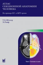 Атлас секционной анатомии человека на примере КТ- и МРТ-срезов. Том первый. Голова и шея