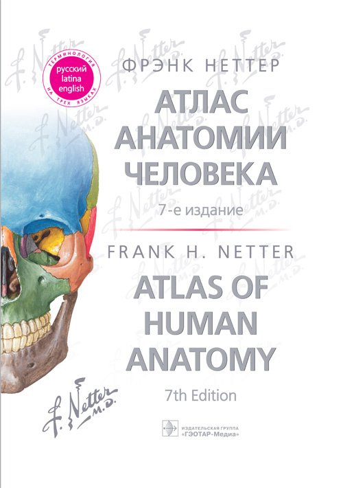 Атлас анатомии человека. Седьмое издание