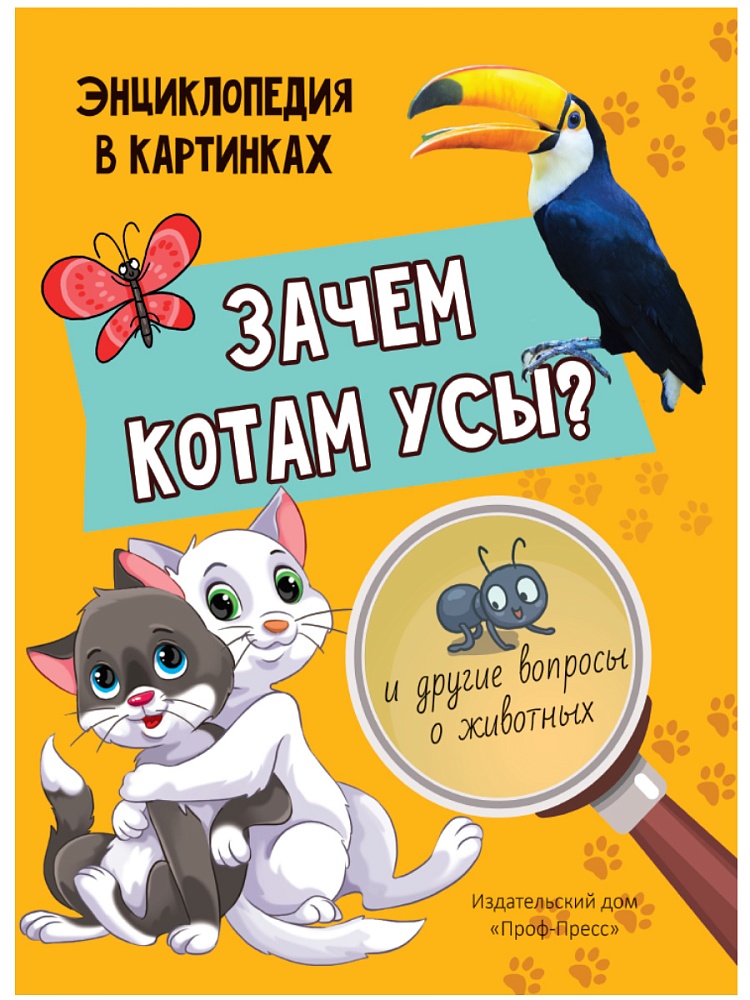 Зачем котам усы? И другие вопросы о животных