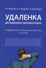Удаленка. Дистанционная (удаленная) работа. Комментарий законодательства и схемы
