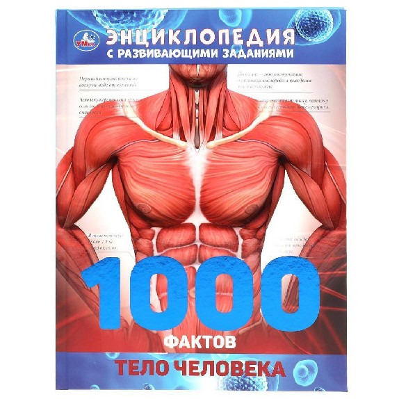 Тело человека. 1000 Фактов