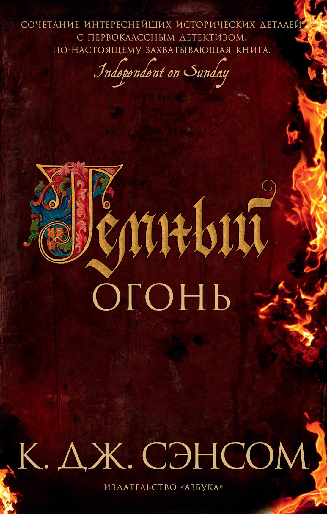Темный огонь (мягк/обл.)