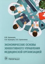 Владимир Чернышев: Экономические основы эффективного управления медицинской организацией