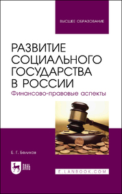 Развитие социального государства в России. Финансово-правовые аспекты. Монография, 2-е изд., стер