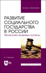 Развитие социального государства в России. Финансово-правовые аспекты. Монография, 2-е изд., стер