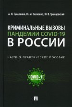 Криминальные вызовы пандемии COVID-19 в России