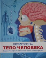 Тело человека. Инфографика