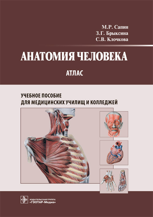 Анатомия человека : атлас : учеб. пособие для медицинских училищ и колледжей / М. Р. Сапин, З. Г. Брыксина, С. В. Клочкова. — Москва : ГЭОТАР-Медиа, 2022. – 376 с. : ил