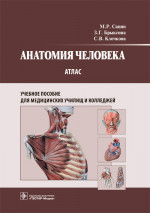 Анатомия человека : атлас : учеб. пособие для медицинских училищ и колледжей / М. Р. Сапин, З. Г. Брыксина, С. В. Клочкова. — Москва : ГЭОТАР-Медиа, 2022. – 376 с. : ил