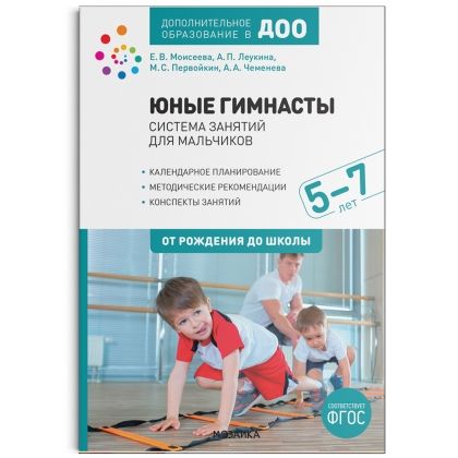 Юные гимнасты Система занятий для мальчиков 5-7 лет ФГОС (Мозаика-Синтез)