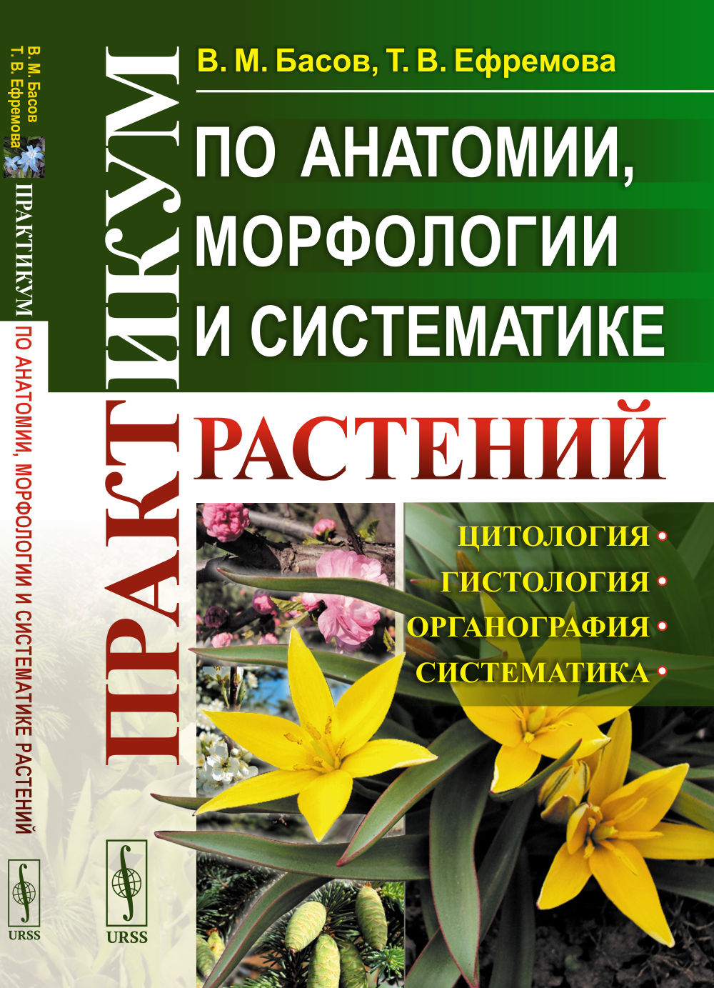 Практикум по анатомии, морфологии и систематике растений Изд. стереотип