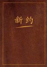 Новый завет на китайском языке