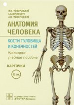 Иван Гайворонский: Анатомия человека. Кости туловища и конечностей. Карточки