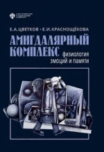 Амигдалярный комплекс: физиология эмоций и памяти