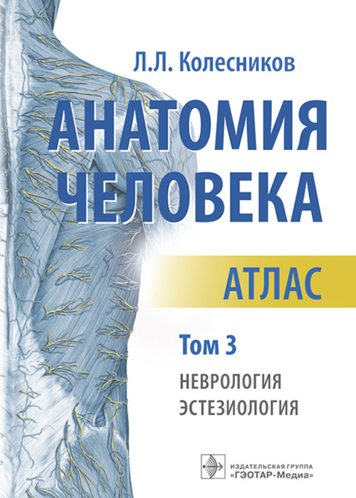 Анатомия человека. Атлас. В 3 т. Т. 3: Неврология, эстезиология