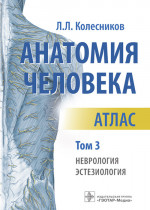 Анатомия человека. Атлас. В 3 т. Т. 3: Неврология, эстезиология