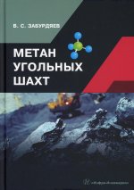 Виктор Забурдяев: Метан угольных шахт