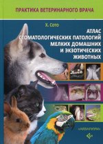 Хавьер Сото: Атлас стоматологических патологий мелких домашних и экзотических животных