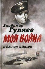 Владимир Гуляев: В бой на «Ил-2». Нас называли «черной смертью»