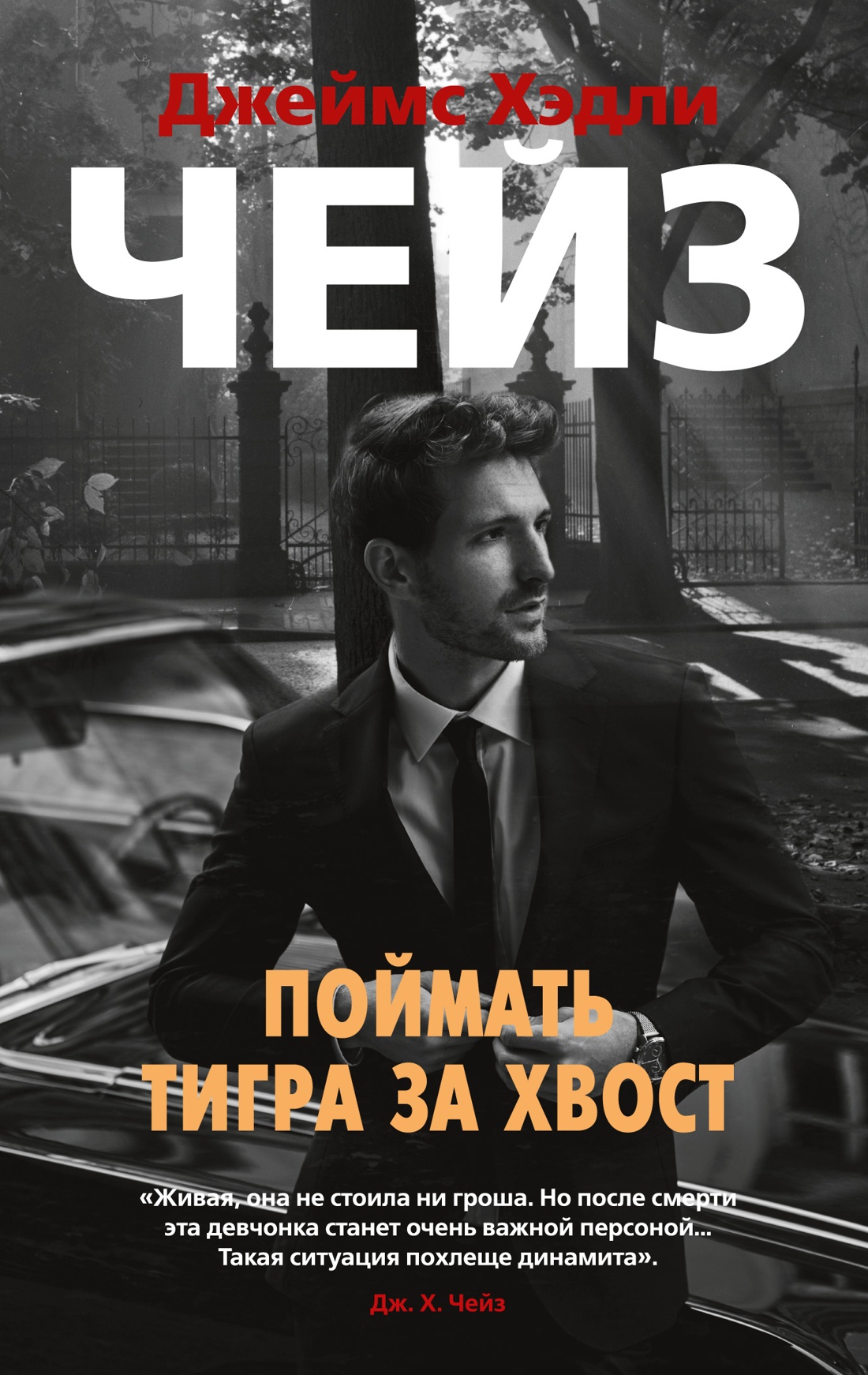 Поймать тигра за хвост (мягк/обл.)