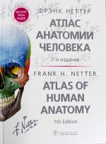 Фрэнк Неттер: Атлас анатомии человека Неттера. Терминология на русском, латинском и английском языках