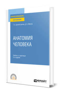 Анатомия человека