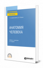 Анатомия человека