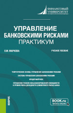 Управление банковскими рисками. Практикум. (Магистратура). Учебное пособие