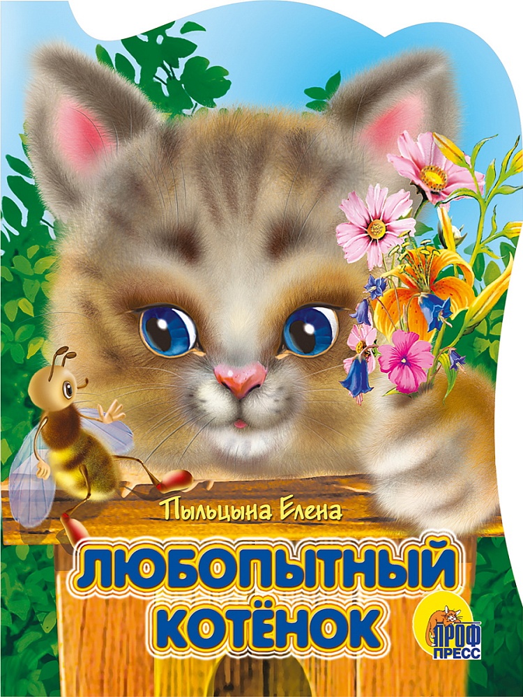 ВЫРУБКА. ЛЮБОПЫТНЫЙ КОТЕНОК