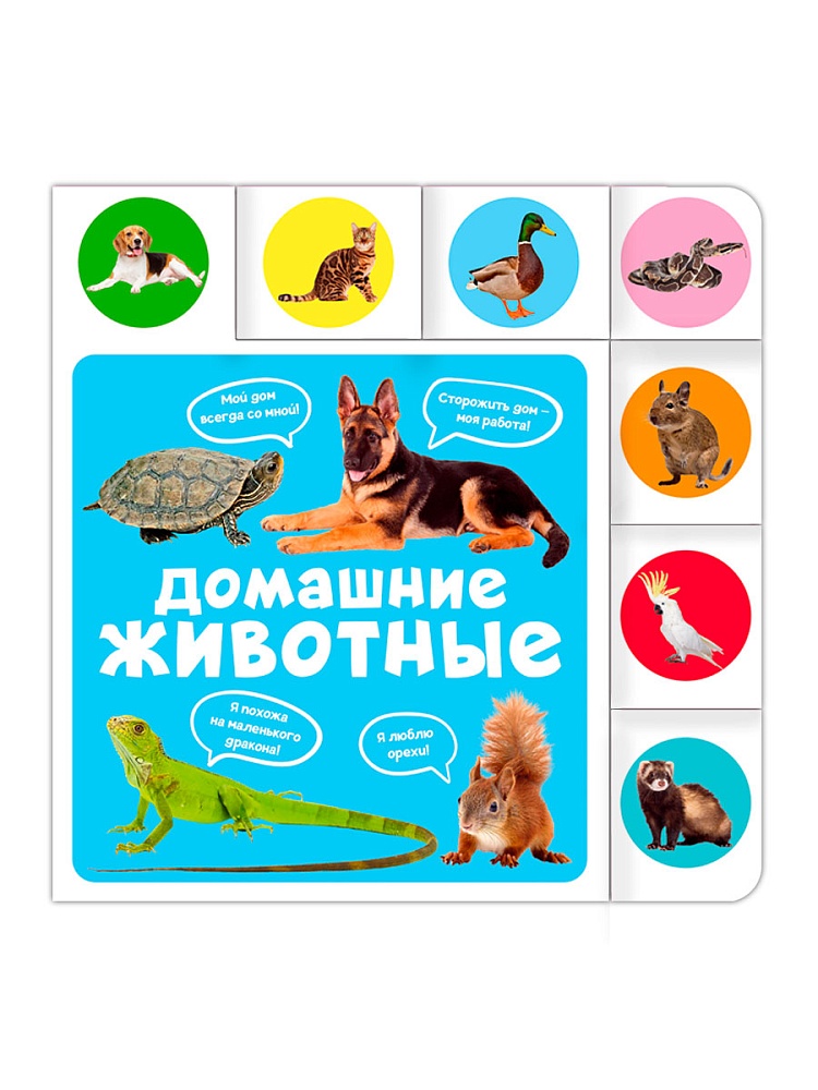 ПОСТР. ВЫРУБКА. ДОМАШНИЕ ЖИВОТНЫЕ 208х209