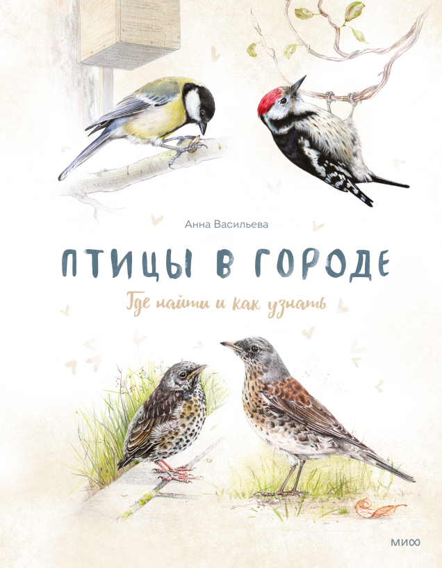 Птицы в городе