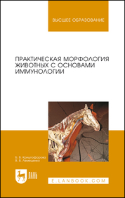 Практическая морфология животных с основами иммунологии. Учебно-методическое пособие для вузов, 2-е изд., стер