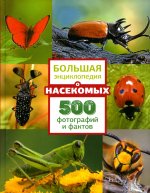 Анна Спектор: Большая энциклопедия о насекомых. 500 фотографий и фактов