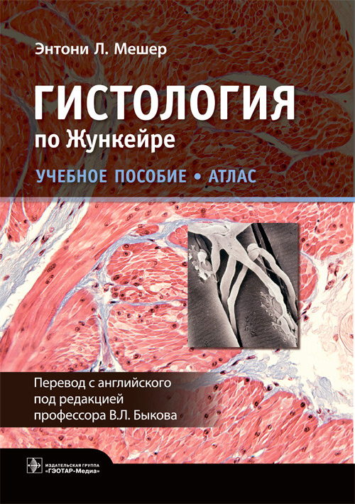 Энтони Мешер: Гистология по Жункейре. Учебное пособие. Атлас