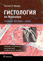 Энтони Мешер: Гистология по Жункейре. Учебное пособие. Атлас
