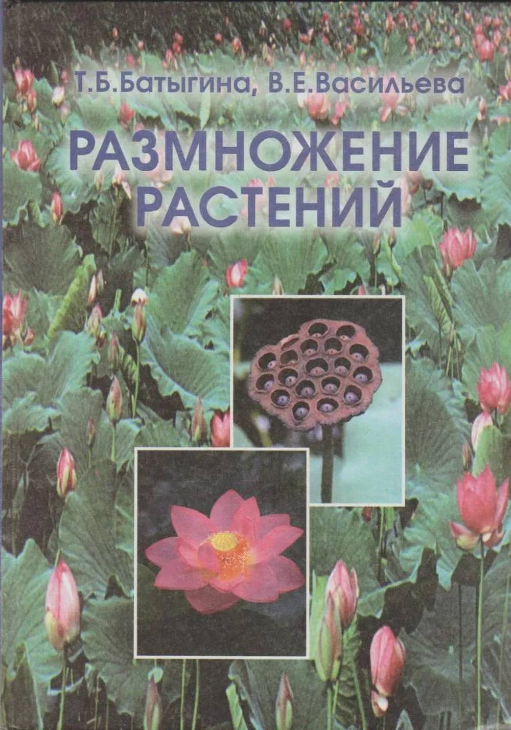 Размножение растений