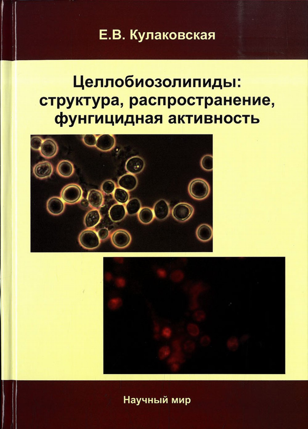 Целлобиозолипиды: структура, распространение, фунгицидная активность