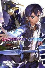 Sword Art Online. Т. 24. Unital Ring III