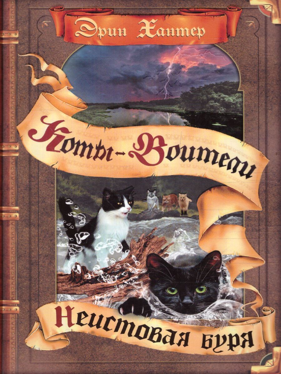 Неистовая буря (цикл "Видение теней")