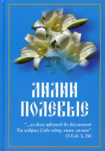 Лилии полевые: книга для семейного чтения