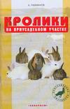 Кролики на приусадебном участке