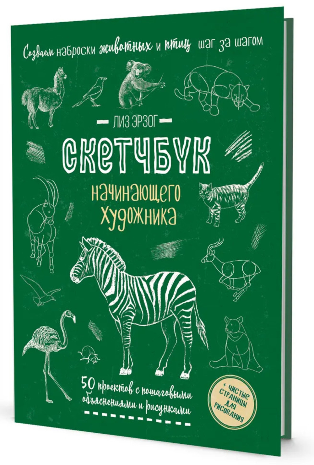 Создаем наброски животных и птиц (зебра зеленая). Скетчбук начинающего художника