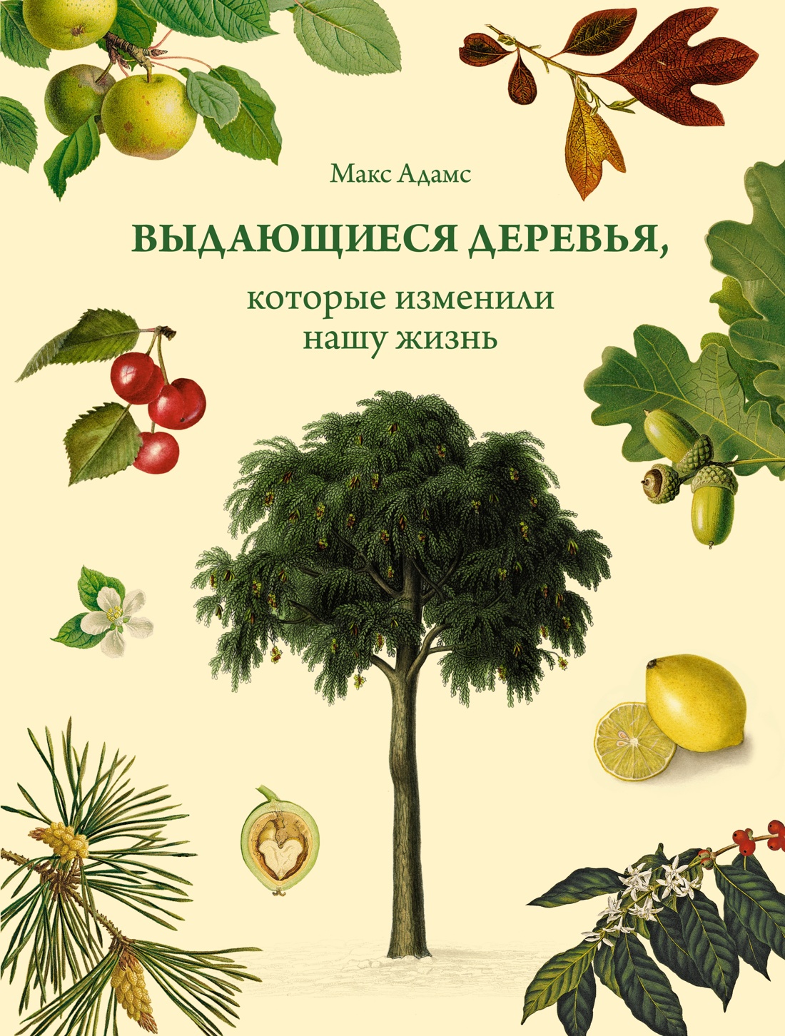 Выдающиеся деревья,которые изменили нашу жизнь
