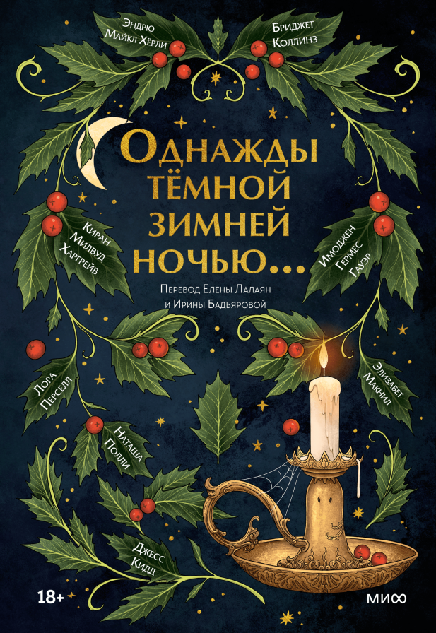 Однажды темной зимней ночью